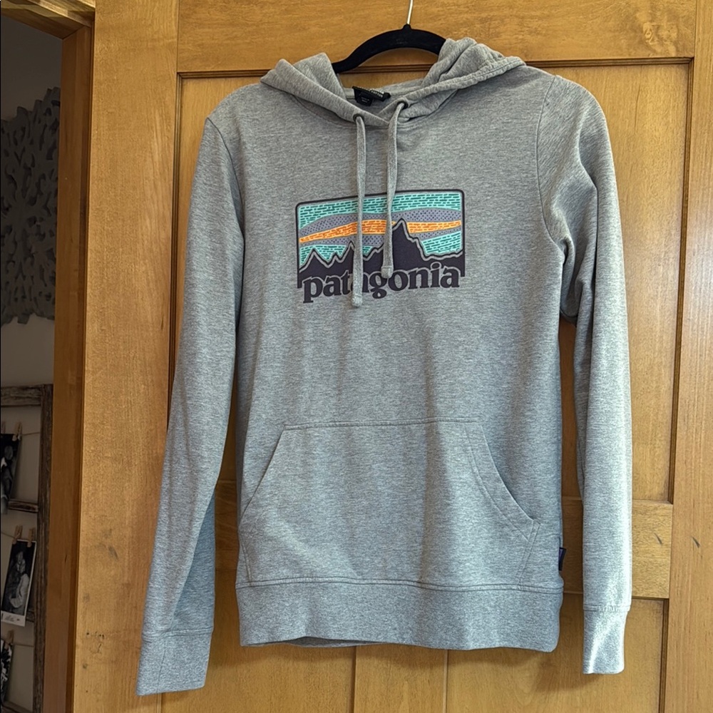 Patagonia Gray Hoodie